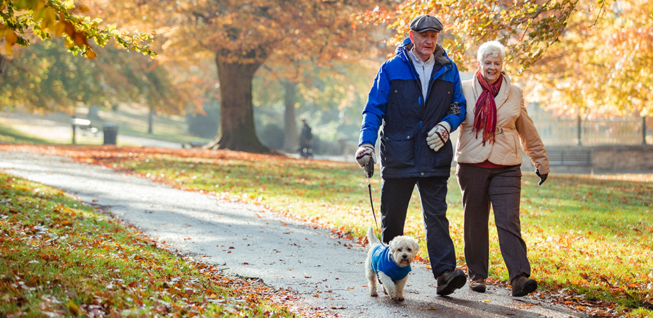 Elderly on fall walk with domesticated dog.