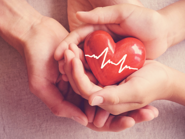 Adult hands cradling child's hands, which are holding a heart shaped object with heartbeat lines on it.